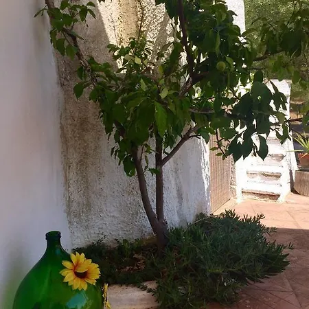 Casa Privata *